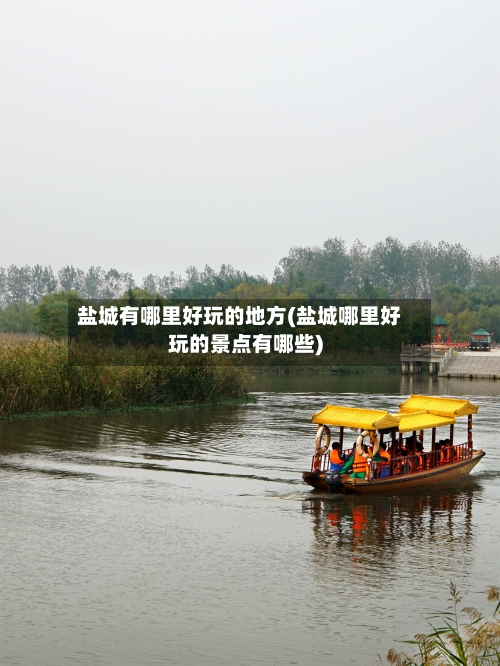 盐城有哪里好玩的地方(盐城哪里好玩的景点有哪些)-第3张图片