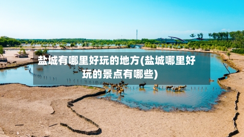 盐城有哪里好玩的地方(盐城哪里好玩的景点有哪些)