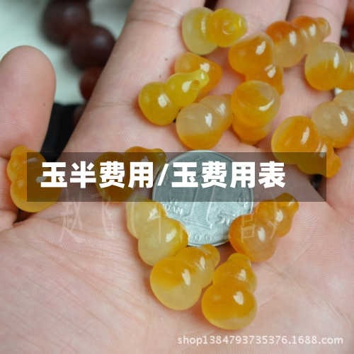 玉半费用/玉费用表-第2张图片