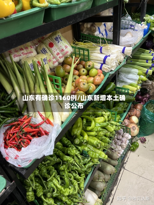 山东有确诊1160例/山东新增本土确诊公布