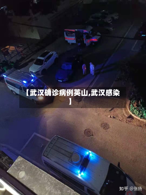 【武汉确诊病例英山,武汉感染】-第2张图片
