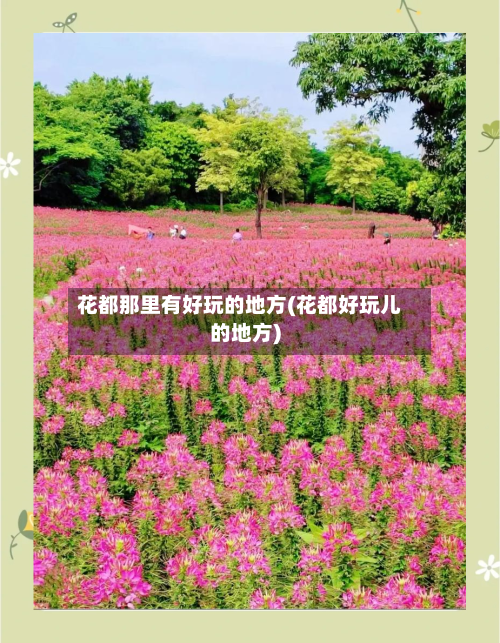 花都那里有好玩的地方(花都好玩儿的地方)-第3张图片