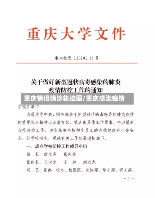 重庆情侣确诊轨迹图/重庆感染疫情-第2张图片