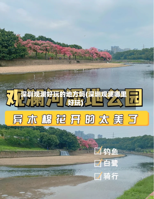 深圳观澜好玩的地方吗(深圳观澜哪里好玩)