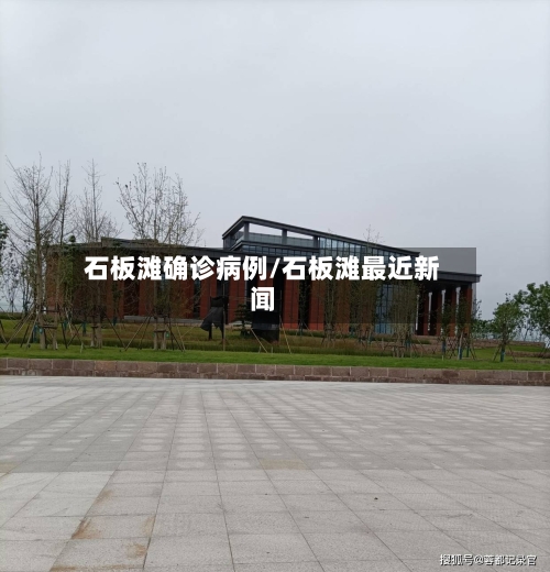 石板滩确诊病例/石板滩最近新闻-第2张图片