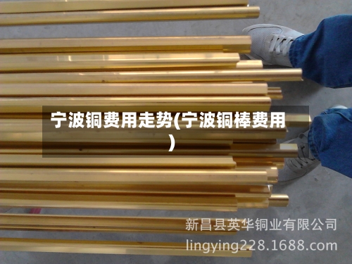 宁波铜费用走势(宁波铜棒费用)