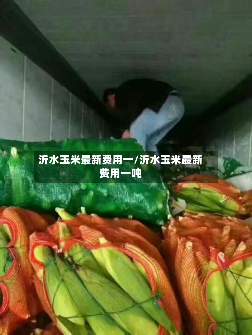 沂水玉米最新费用一/沂水玉米最新费用一吨