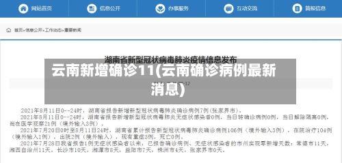 云南新增确诊11(云南确诊病例最新消息)-第2张图片
