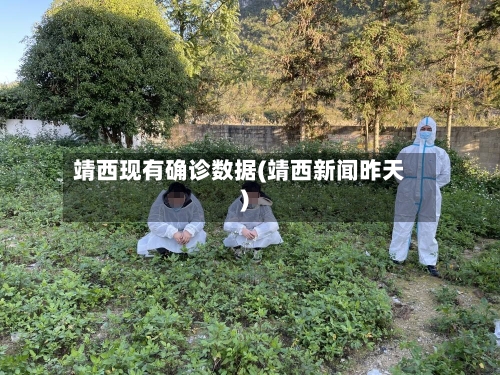 靖西现有确诊数据(靖西新闻昨天)-第2张图片