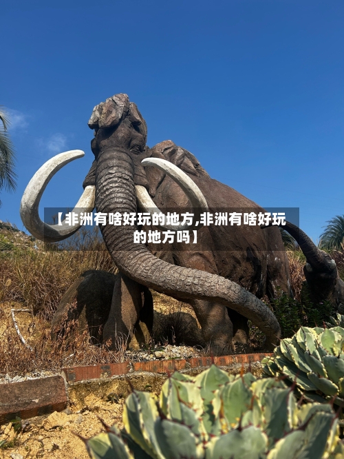 【非洲有啥好玩的地方,非洲有啥好玩的地方吗】