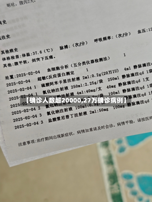 【确诊人数超20000,27万确诊病例】