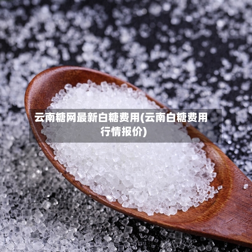 云南糖网最新白糖费用(云南白糖费用行情报价)-第3张图片