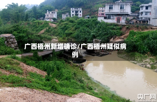 广西梧州新增确诊/广西梧州疑似病例-第2张图片