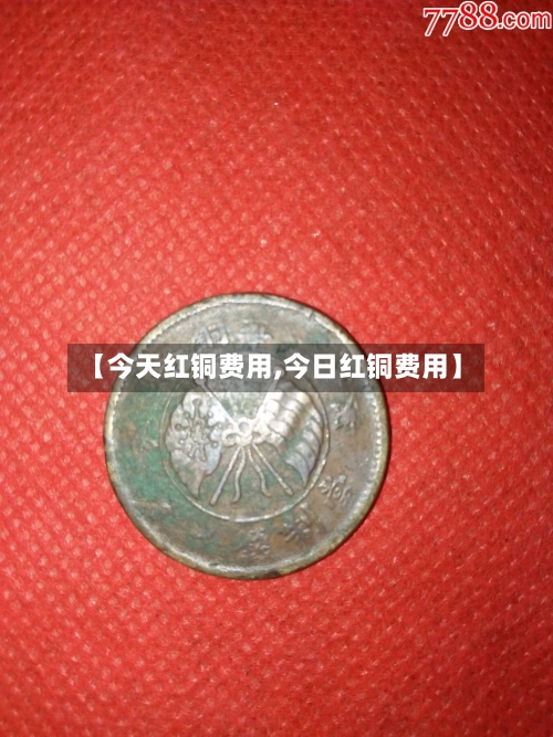 【今天红铜费用,今日红铜费用】-第2张图片