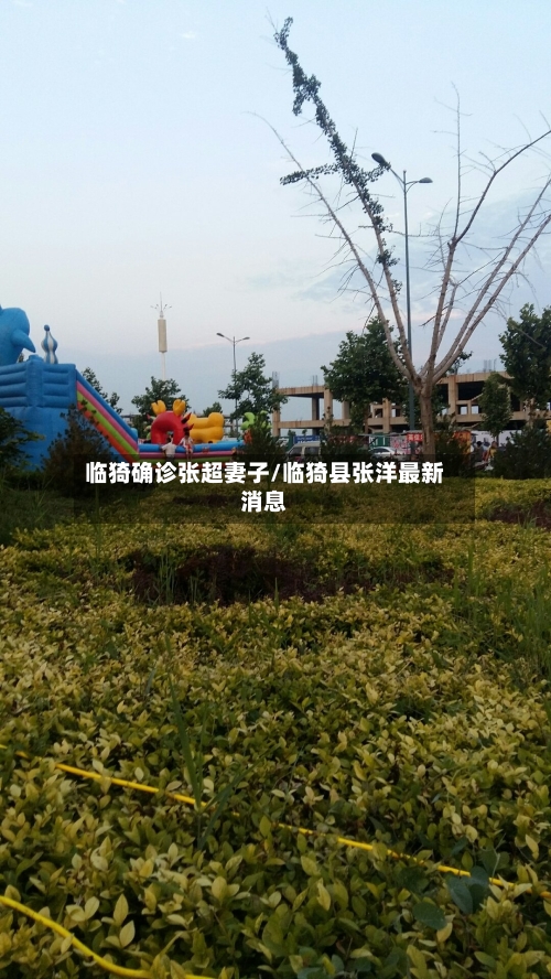 临猗确诊张超妻子/临猗县张洋最新消息-第2张图片