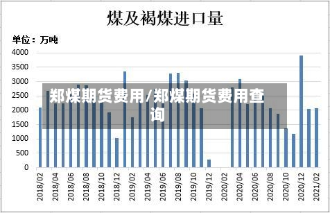 郑煤期货费用/郑煤期货费用查询