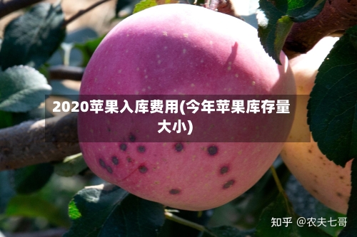 2020苹果入库费用(今年苹果库存量大小)
