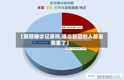【新冠确诊记录吗,确诊新冠的人都去哪里了】