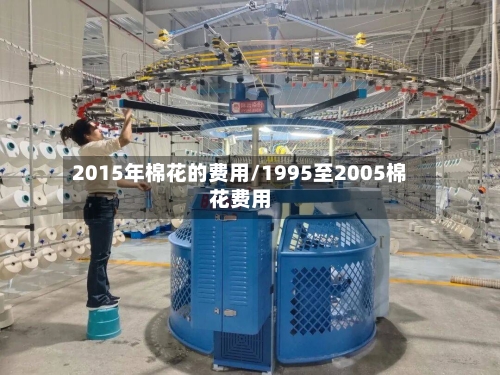2015年棉花的费用/1995至2005棉花费用-第3张图片