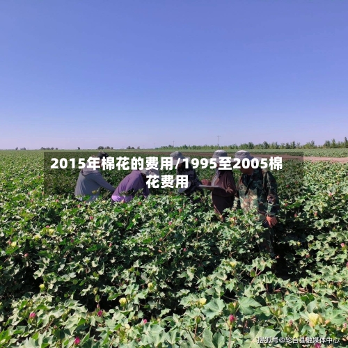 2015年棉花的费用/1995至2005棉花费用-第2张图片