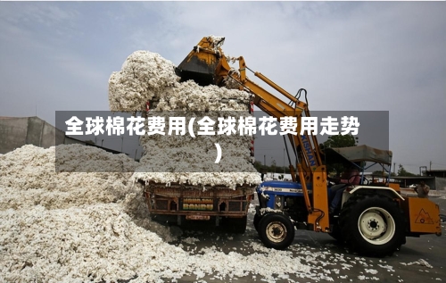 全球棉花费用(全球棉花费用走势)-第2张图片