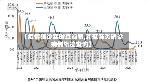 【疫情确诊实时查询表,新冠肺炎确诊病例轨迹查询】