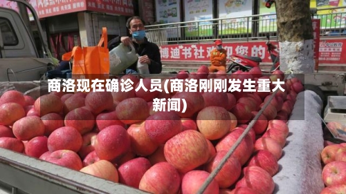 商洛现在确诊人员(商洛刚刚发生重大新闻)-第3张图片