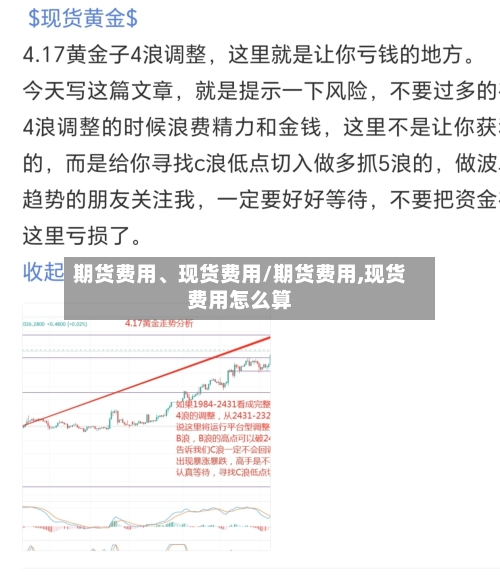 期货费用、现货费用/期货费用,现货费用怎么算