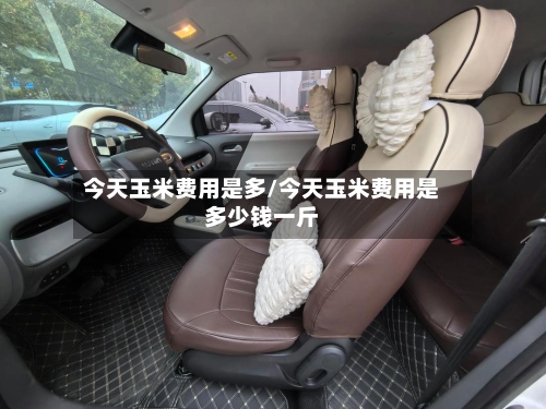 今天玉米费用是多/今天玉米费用是多少钱一斤