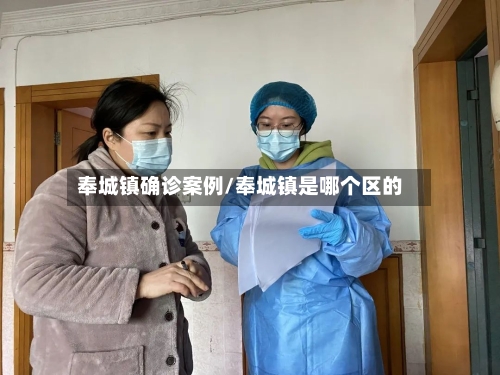 奉城镇确诊案例/奉城镇是哪个区的