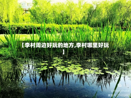 【李村周边好玩的地方,李村哪里好玩】-第3张图片