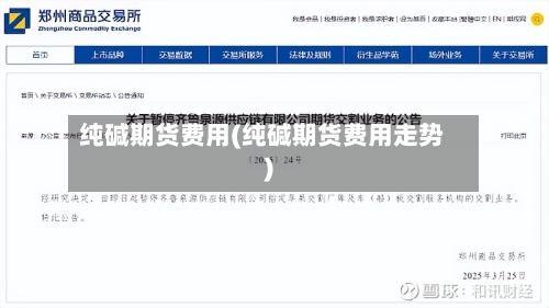 纯碱期货费用(纯碱期货费用走势)