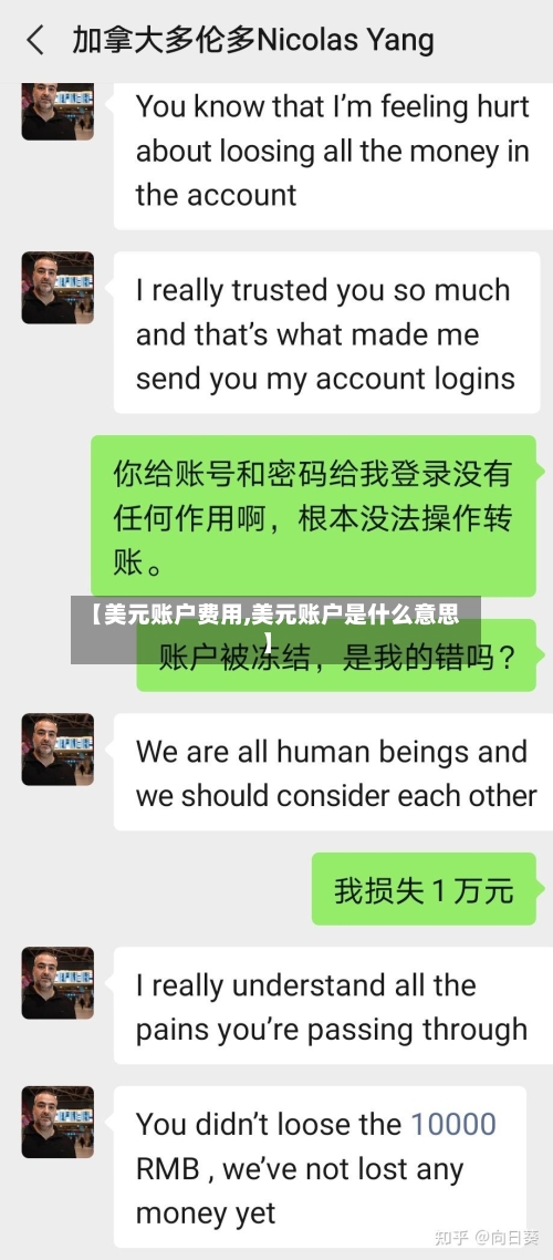 【美元账户费用,美元账户是什么意思】-第2张图片