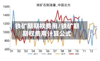 铁矿期期权费用/铁矿期期权费用计算公式