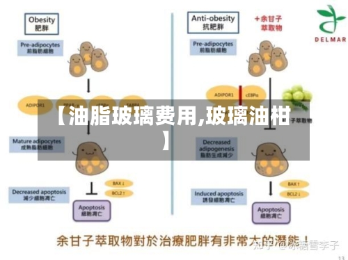 【油脂玻璃费用,玻璃油柑】-第3张图片