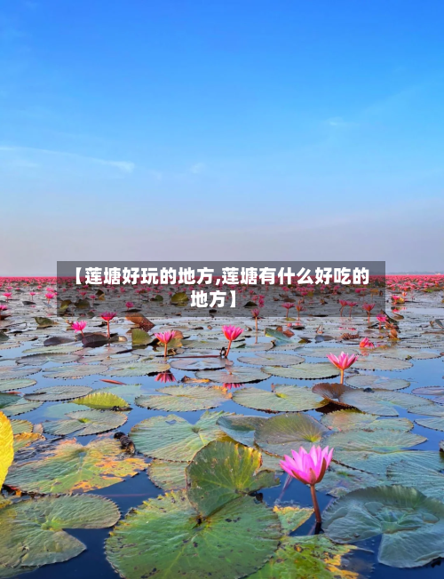 【莲塘好玩的地方,莲塘有什么好吃的地方】