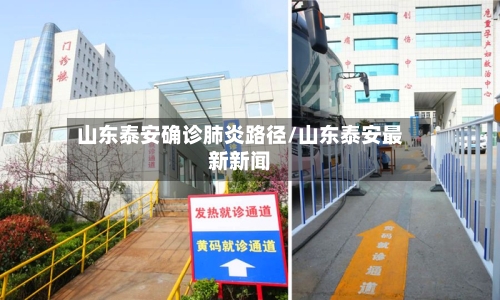 山东泰安确诊肺炎路径/山东泰安最新新闻-第3张图片