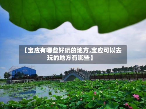 【宝应有哪些好玩的地方,宝应可以去玩的地方有哪些】-第3张图片