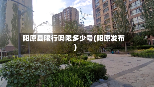 阳原县限行吗限多少号(阳原发布)-第3张图片