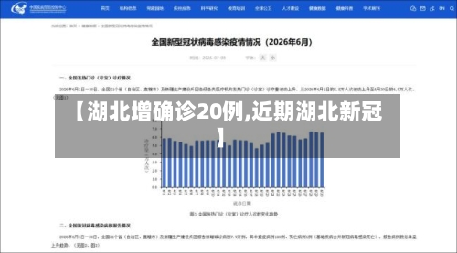 【湖北增确诊20例,近期湖北新冠】-第2张图片