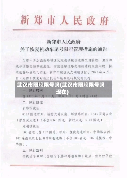 武汉市限牌限号吗(武汉市限牌限号吗现在)-第2张图片