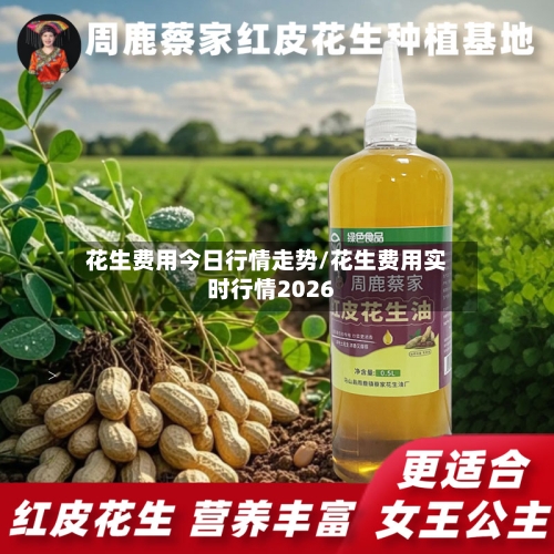 花生费用今日行情走势/花生费用实时行情2026-第3张图片