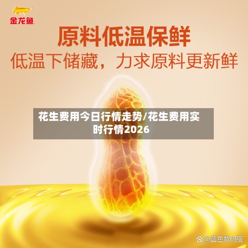 花生费用今日行情走势/花生费用实时行情2026-第2张图片