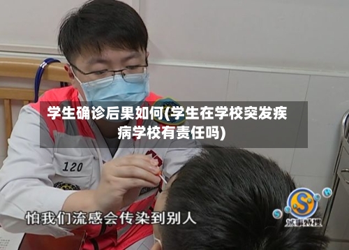 学生确诊后果如何(学生在学校突发疾病学校有责任吗)-第2张图片