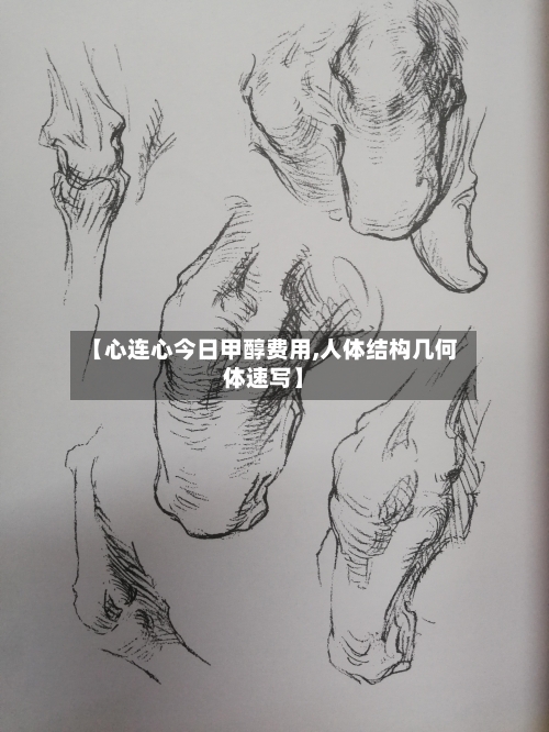 【心连心今日甲醇费用,人体结构几何体速写】