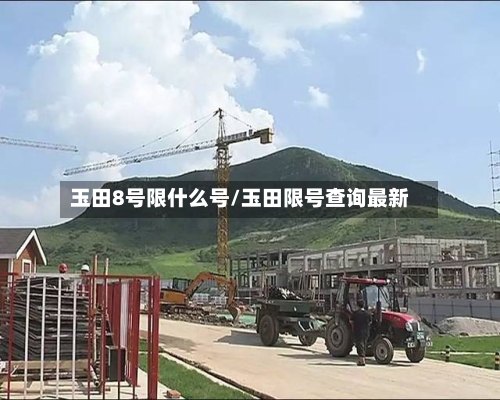 玉田8号限什么号/玉田限号查询最新-第2张图片