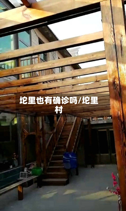 坨里也有确诊吗/坨里村