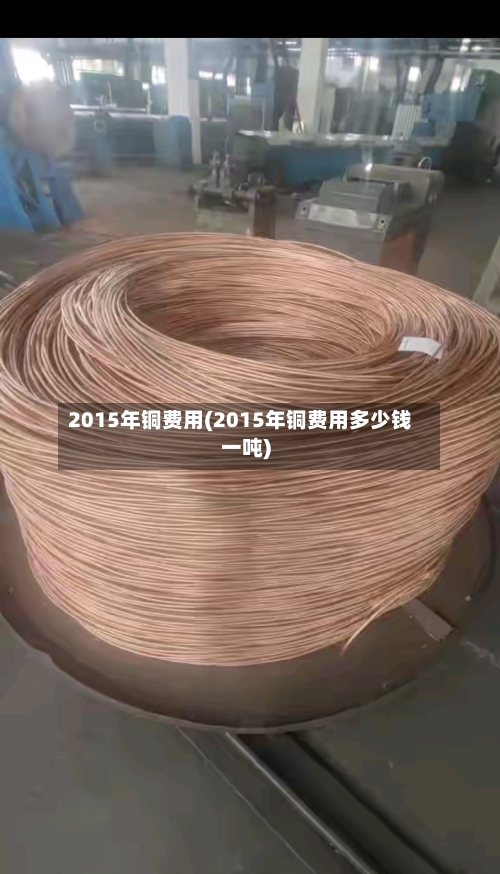 2015年铜费用(2015年铜费用多少钱一吨)-第2张图片