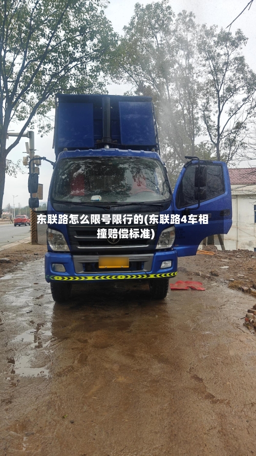 东联路怎么限号限行的(东联路4车相撞赔偿标准)