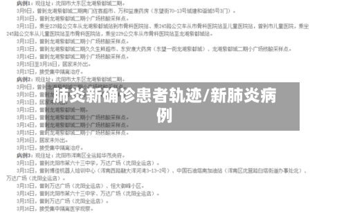 肺炎新确诊患者轨迹/新肺炎病例-第2张图片